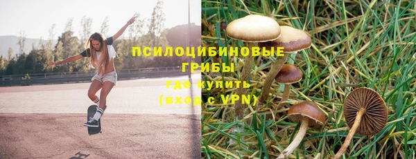 PSILOCYBIN Алексин